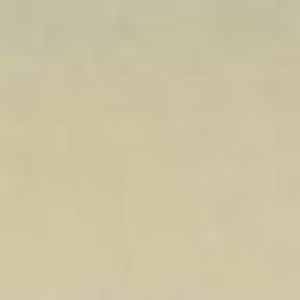 Meet your Posher, Oskar